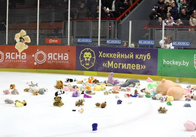 Сегодня в Могилеве ожидается большой «Мишкопад»