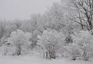 Минус 51,7 градуса. Якутия стала самым холодным местом на Земле