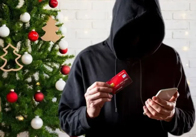 Будьте осторожны, заказывая новогоднюю елку онлайн