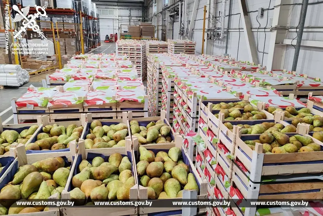 Фото: ГТК РБ