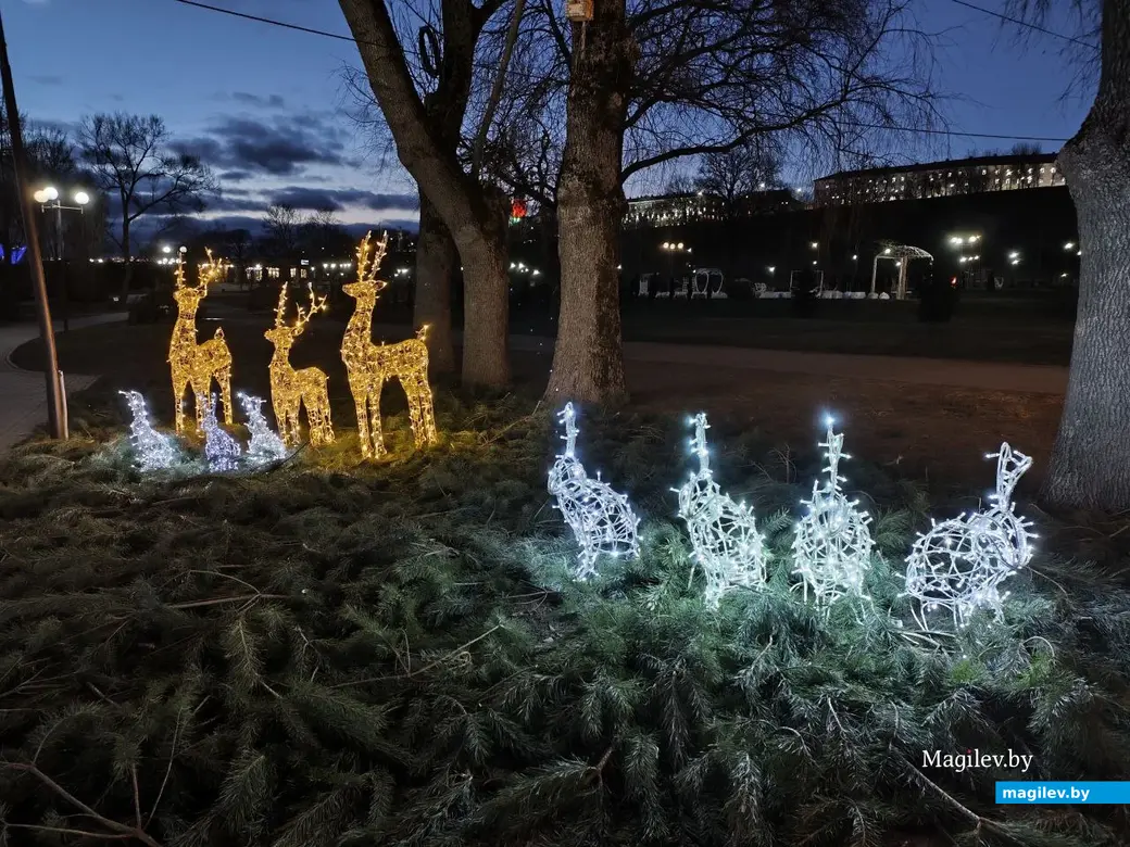 23 декабря 2025 года. Могилев. Парк Подниколья.