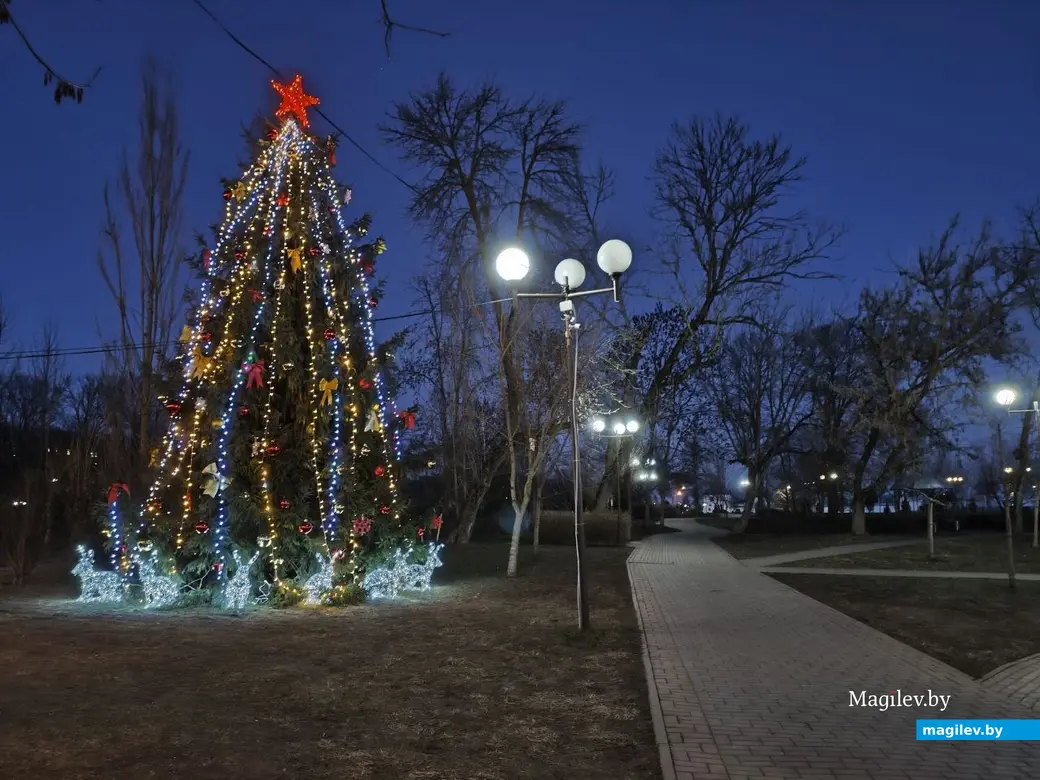 23 декабря 2025 года. Могилев. Парк Подниколья.