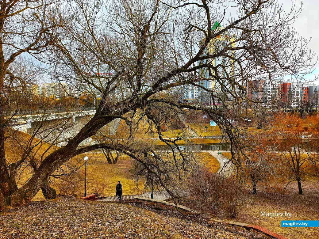 2022-й год, Могилев, мост через Дубровенку по проспекту Мира.