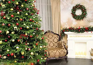 Куда сходить в Могилеве в ближайшие большие выходные: наш гид