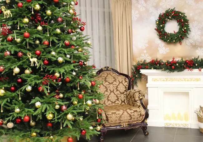 Куда сходить в Могилеве в ближайшие большие выходные: наш гид