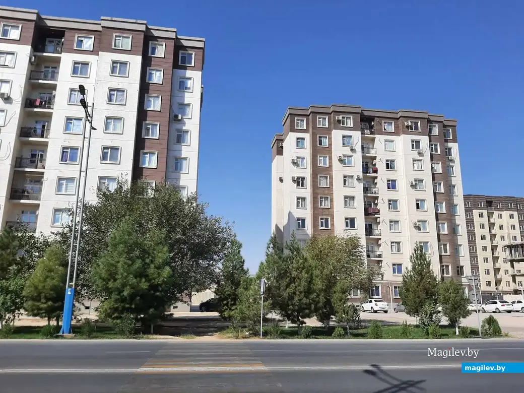 Сентябрь, 2025 года. Узбекистан, город Термез.