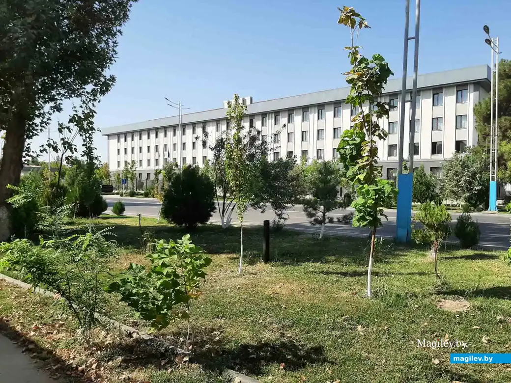 Сентябрь, 2025 года. Узбекистан, город Термез.