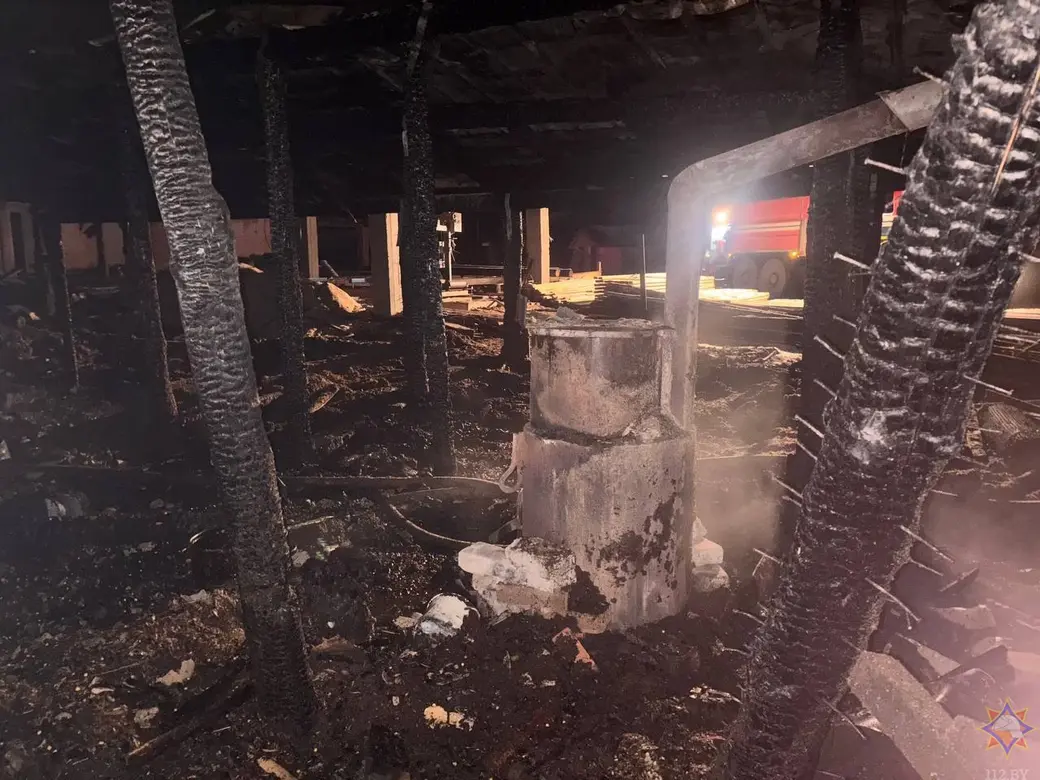 26 декабря 2025 года. Десятки свиней погибли на пожаре в Могилевском районе. Фото: МЧС.