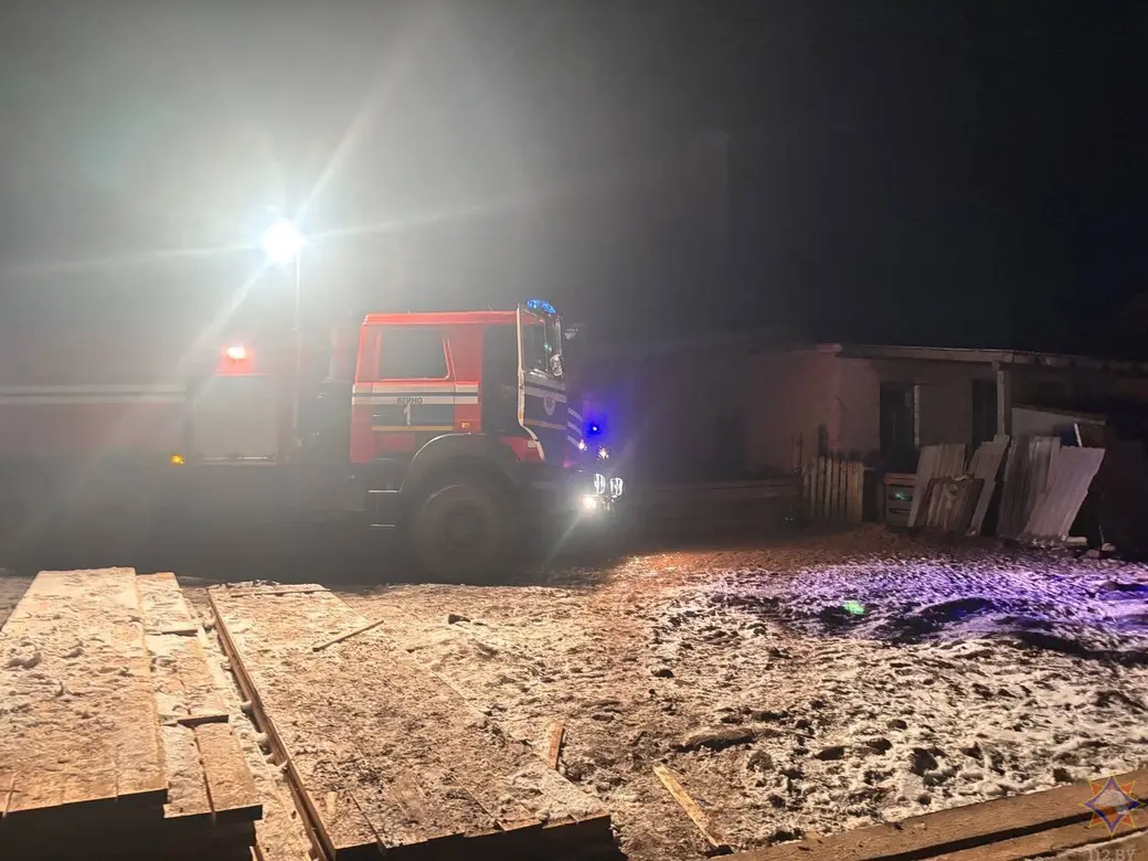 26 декабря 2025 года. Десятки свиней погибли на пожаре в Могилевском районе. Фото: МЧС.