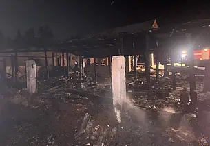 Десятки свиней погибли на пожаре в Могилевском районе (видео)