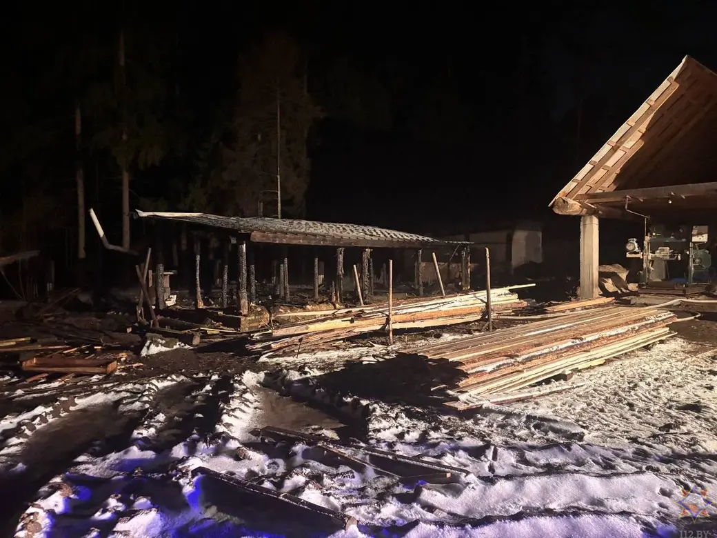 26 декабря 2025 года. Десятки свиней погибли на пожаре в Могилевском районе. Фото: МЧС.