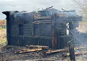 В Чаусском районе горел дом. Хозяина из огня успел вывести сосед