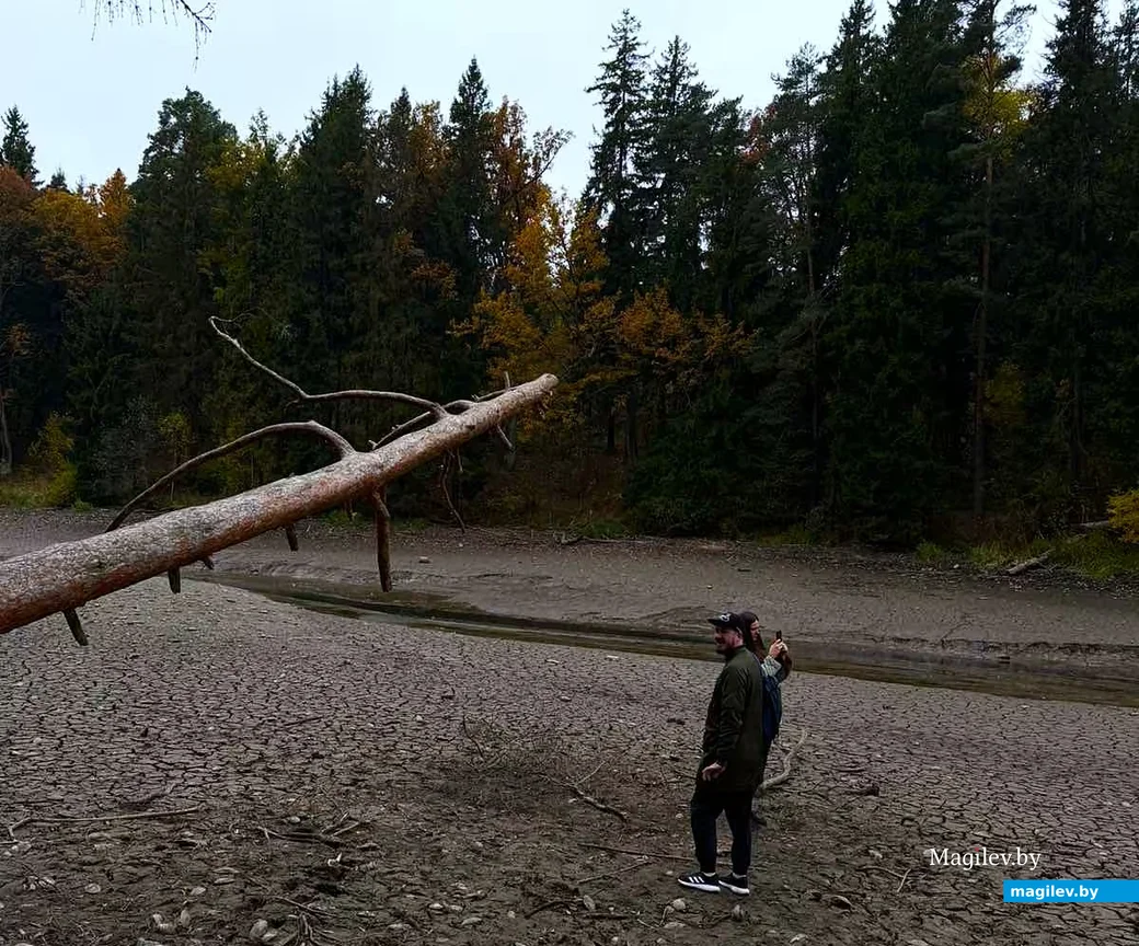   Октябрь, 2006, Могилев, Печерское озеро.