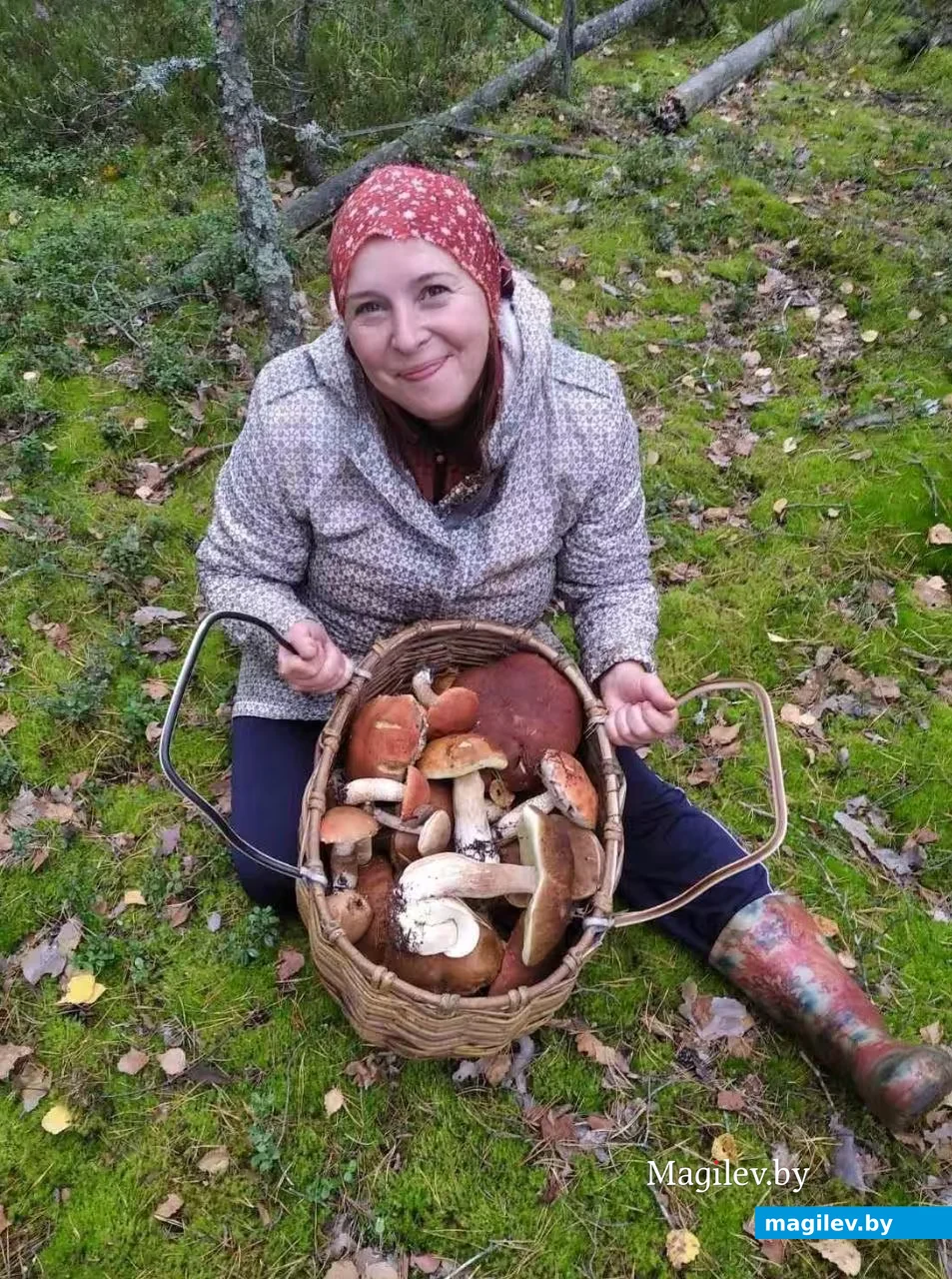 12.09.2026. Бобруйчанка Алла Сорокина на грибалке под Кличевом.