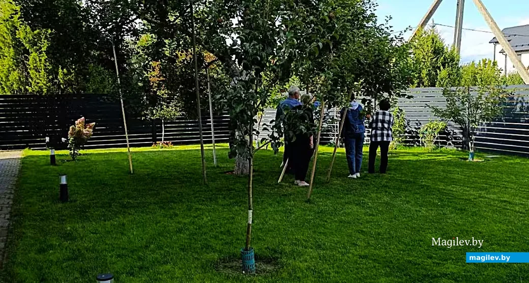 12.09.2026, Минск. У Валерия Стрельцова.