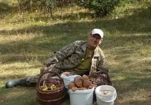«Где были дома и улицы, вырос лес и растут рыжики». Конкурс «Тихая охота» продолжается