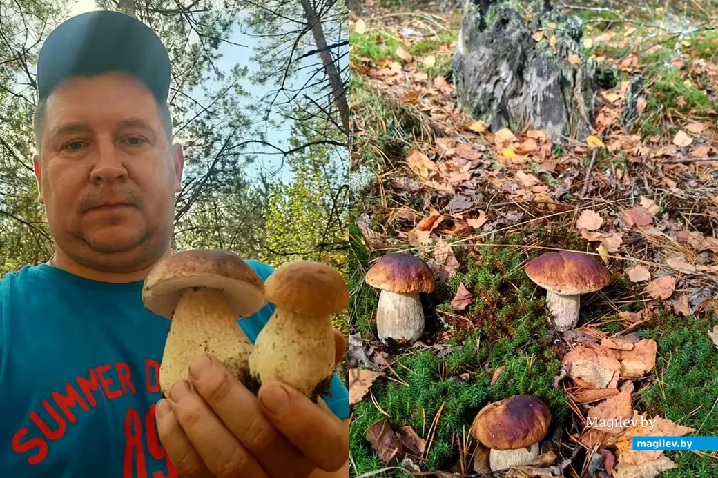  Михаил Шапоткин  с боровиками Бобруйщины