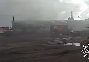 В агрогородке Ковали на Бобруйщине горел склад. Видео