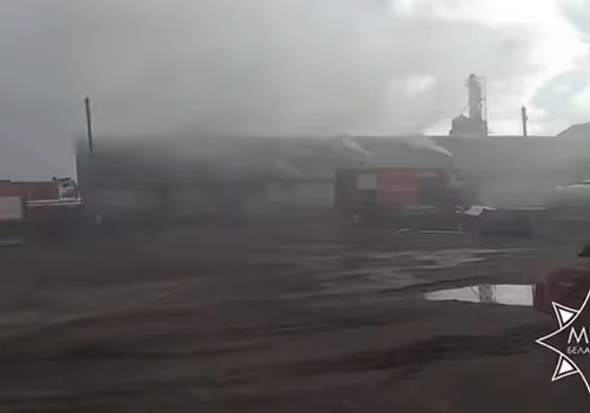В агрогородке Ковали на Бобруйщине горел склад. Видео