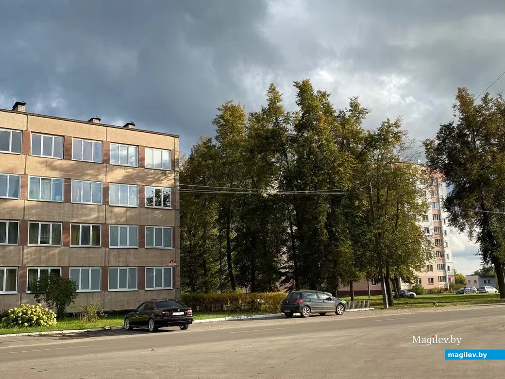 26.09.2026. На месте возле старых лип по улице Ковзана когда-то возвышалась мачта радиостанции.