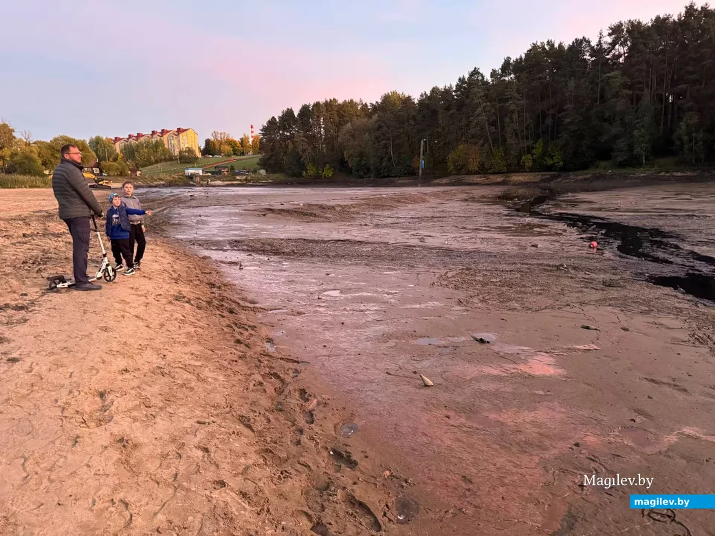   02.10. 2026 г. Могилев. Печерский лесопарк. Очистка печерского озера.