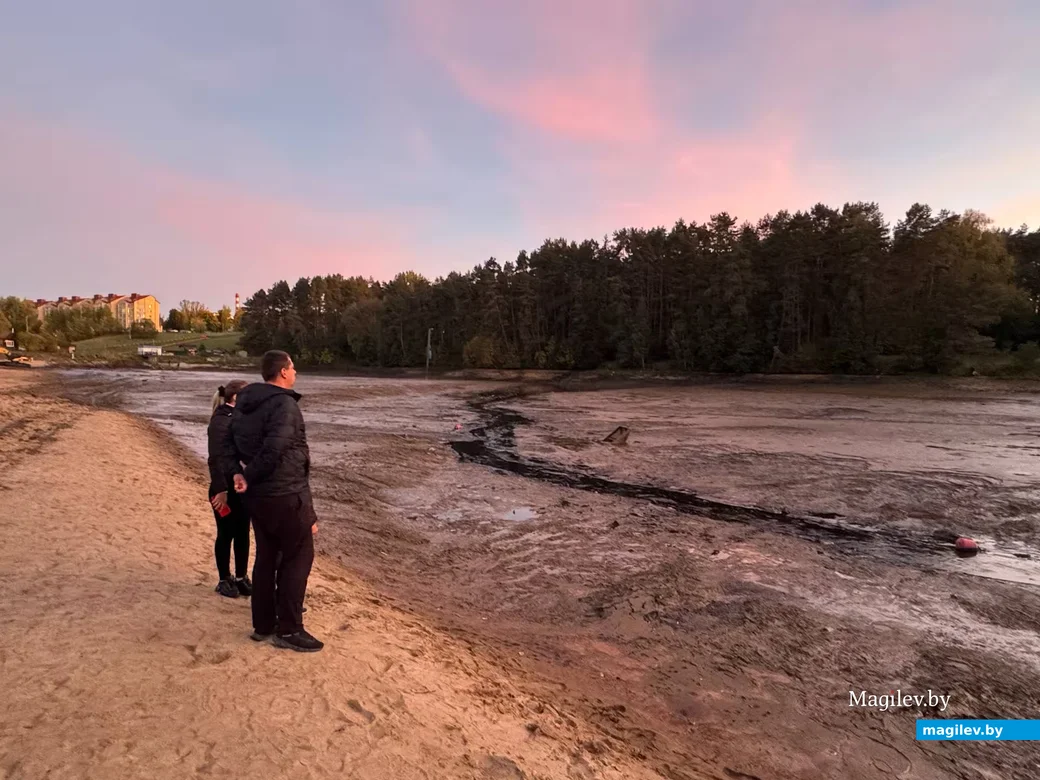   02.10. 2026 г. Могилев. Печерский лесопарк. Очистка печерского озера.