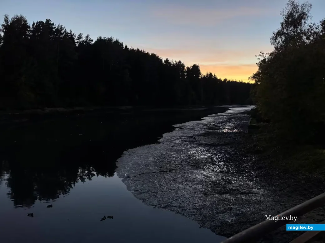  02.10. 2026 г. Могилев. Печерский лесопарк. Очистка печерского озера. 