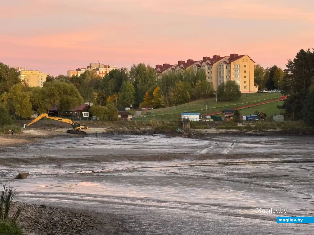  02.10. 2026 г. Могилев. Печерский лесопарк. Очистка печерского озера. 