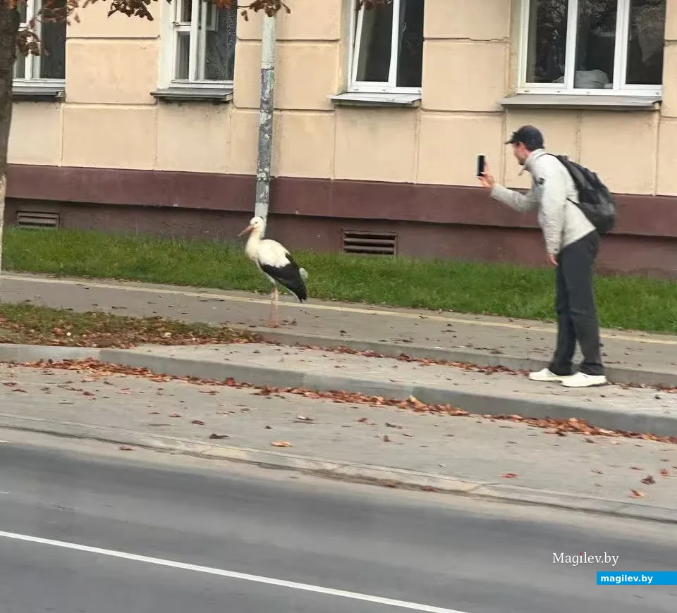  Фото Анны Продан. 