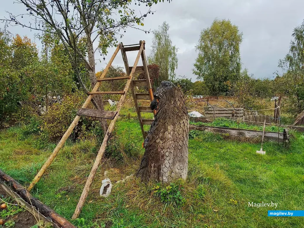 20.09.2026, Могилевский район, Вендрож. В гостях у Николая Осипцова.