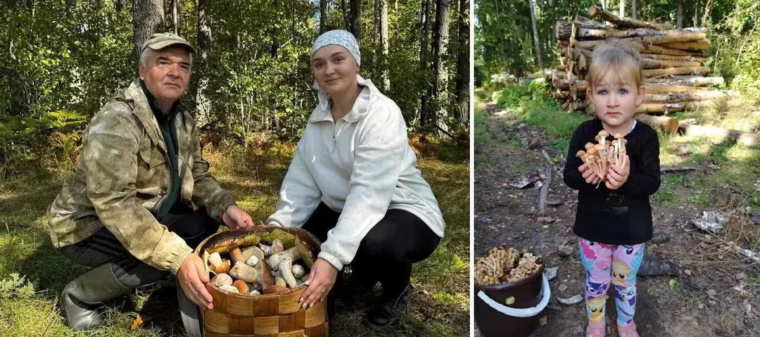 «Набрали девять корзин боровиков». Конкурс «Тихая охота» продолжается