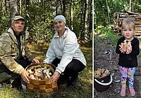 «Набрали девять корзин боровиков». Конкурс «Тихая охота» продолжается