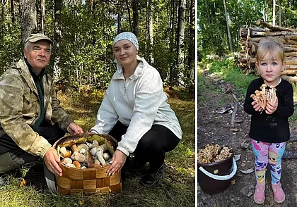 «Набрали девять корзин боровиков». Конкурс «Тихая охота» продолжается