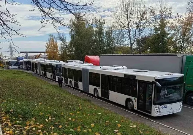 В города области пришли новые «гармошки». В Могилев – сразу 7