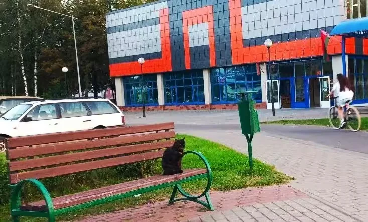  2025, Могилев, Казимировка.