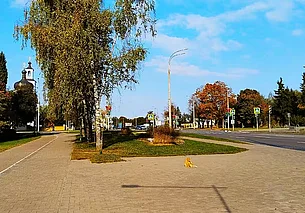 Могилев: и снова Казимировская баллада о людях и котах