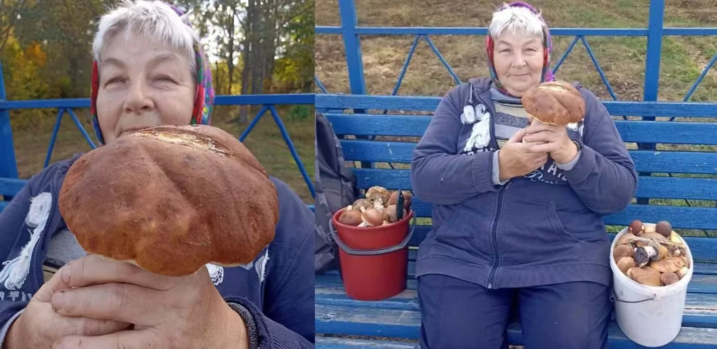 Наталья Владимировна Коренькова из Бобруйска нашла такой гриб-великан в лесу возле деревни