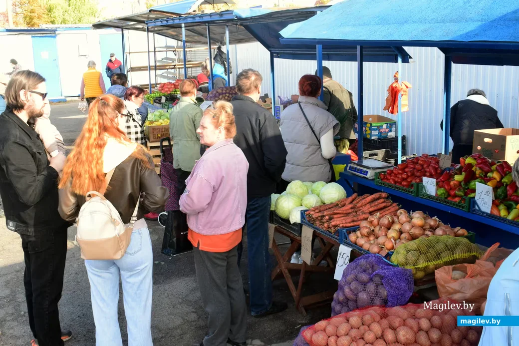 10.10.2026, Бобруйск, «Северный» рынок