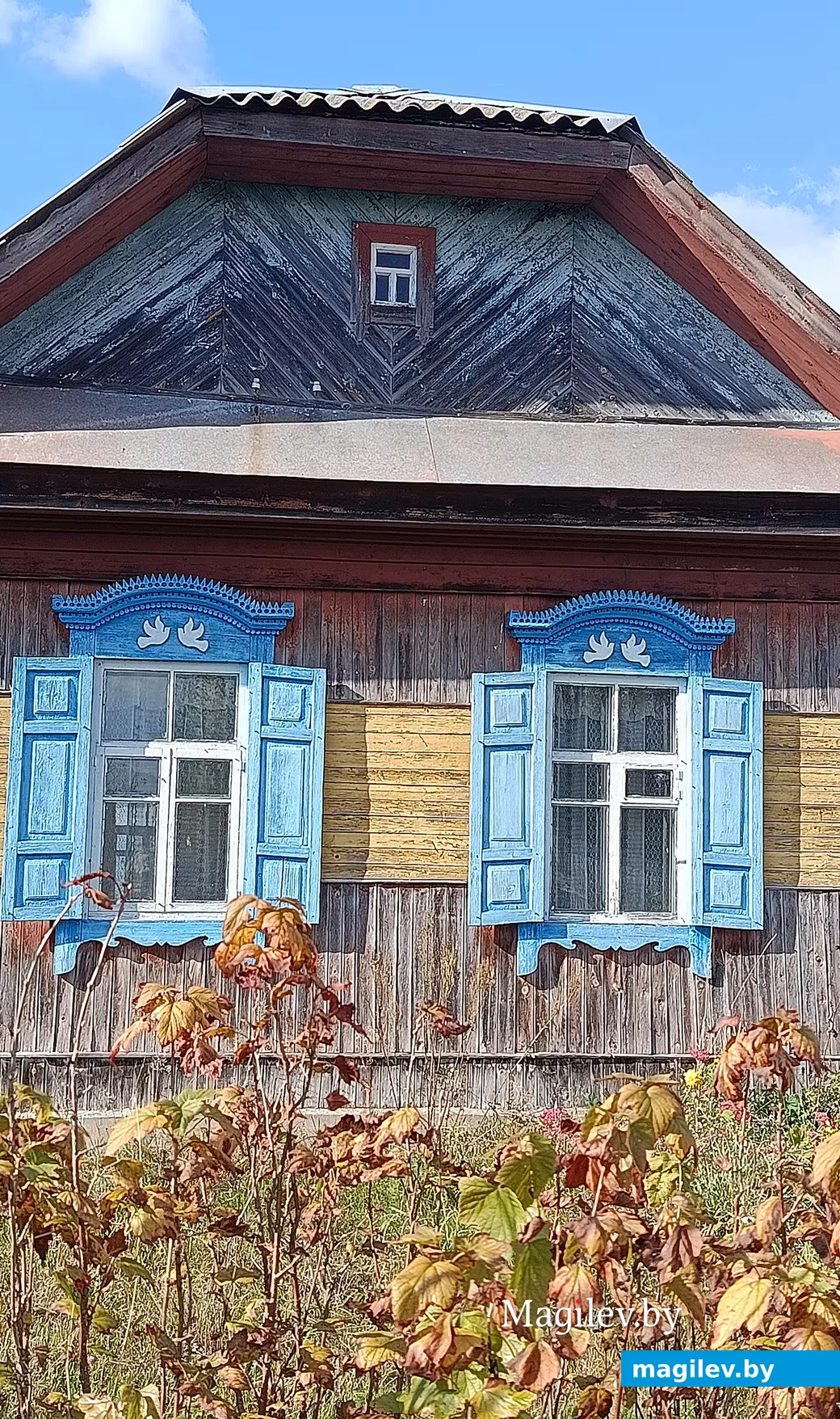 Кастрычнік 2026 г. Вёска Прыварацце Глускі раён.