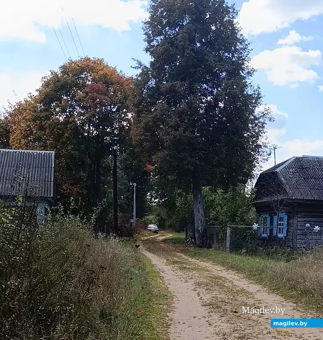  Кастрычнік 2026 г. Вёска Прыварацце Глускі раён.