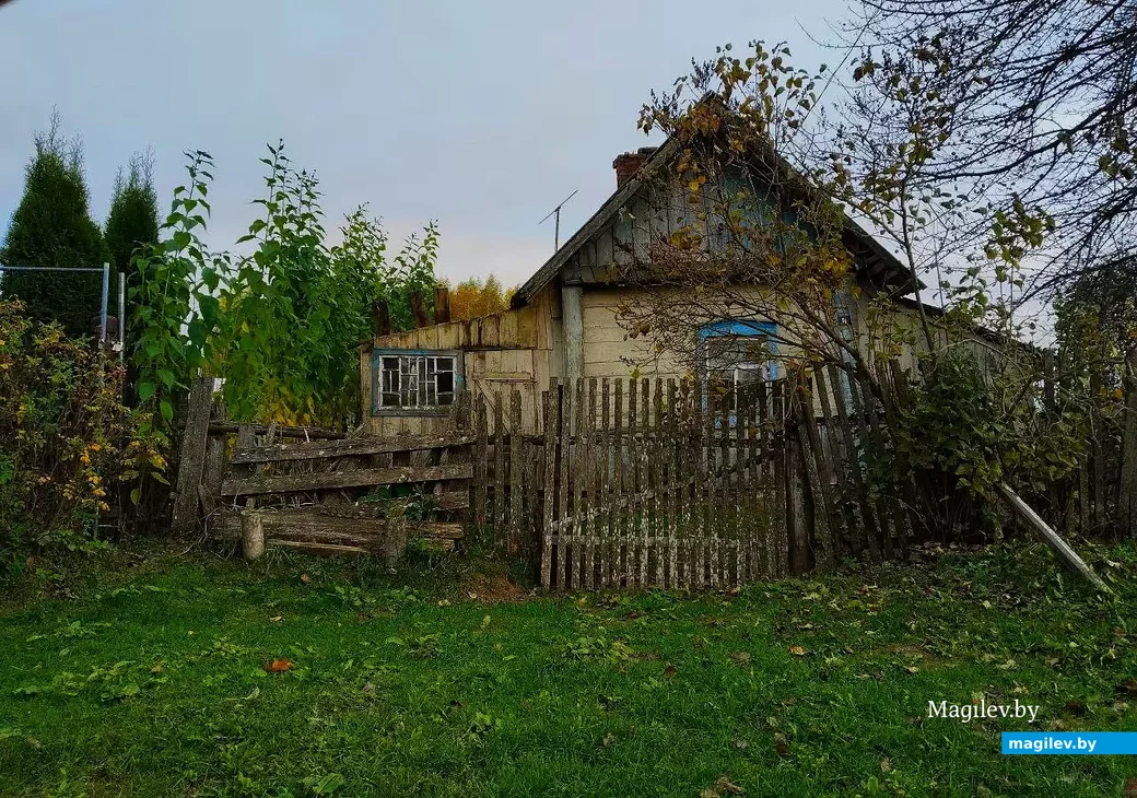   16.10.2026, Могилевский район, недалеко от Славгородского шоссе.