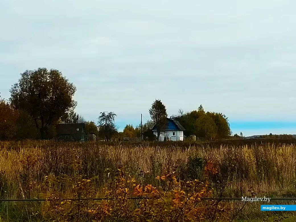   16.10.2026, Могилевский район, недалеко от Славгородского шоссе.
