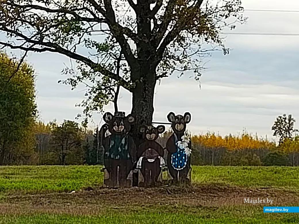   16.10.2026, Могилевский район, недалеко от Славгородского шоссе.