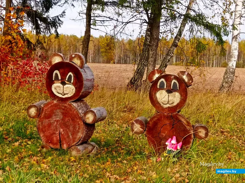  16.10.2026, Могилевский район, недалеко от Славгородского шоссе.