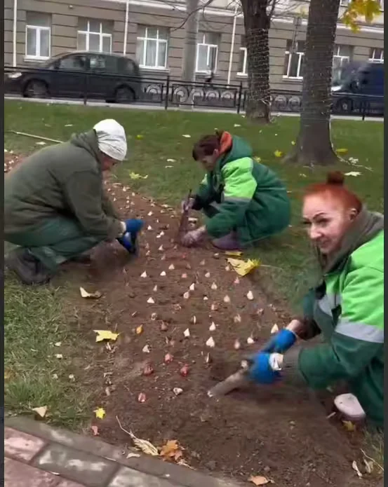 В Театральном сквере Могилева сажают тюльпаны. Скан с видео ТГ «Могилев – мой город!» 