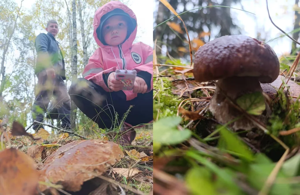 Фото бобруйчанки Екатерины Быковой-Хаасма.