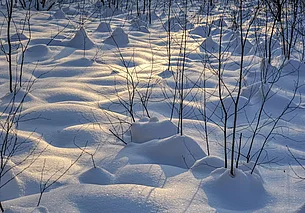 Без осадков, до 6 градусов мороза: погода в Могилеве 20 февраля