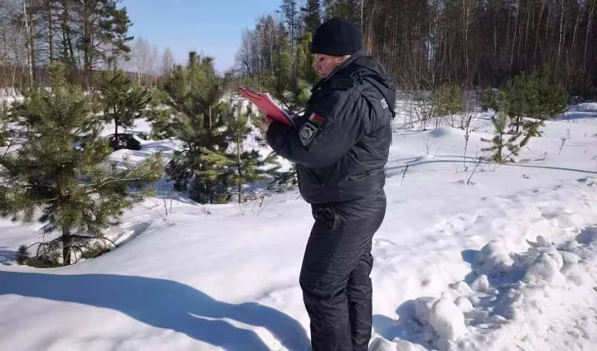 Во время охоты мужчина выстрелил во внезапно появившуюся рысь. Фото: СК.