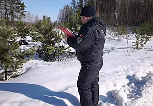 Охотник из Бобруйска пошел на кабана, но застрелил краснокнижную рысь