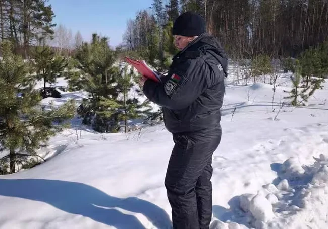 Охотник из Бобруйска пошел на кабана, но застрелил краснокнижную рысь